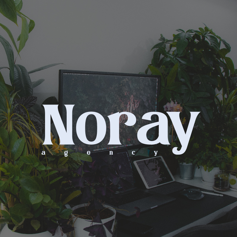noray_Mesa de trabajo 1